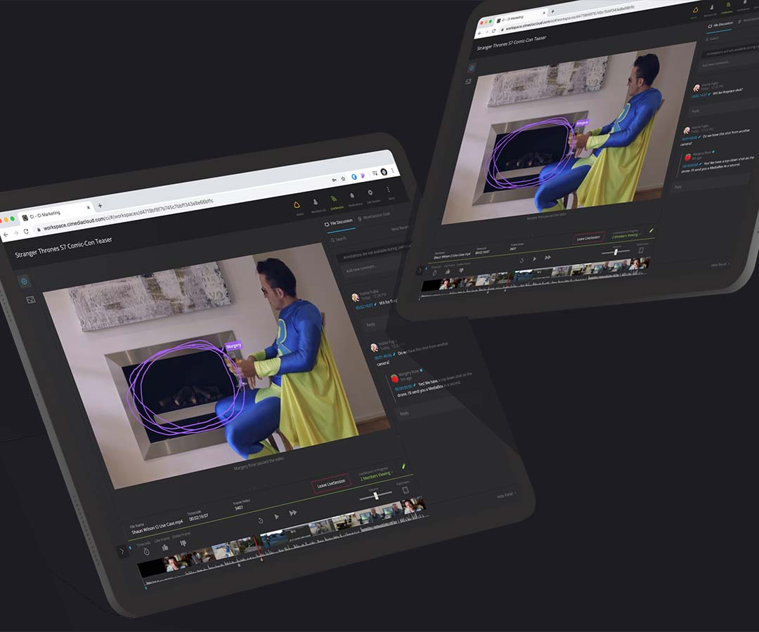 Two screens of VideoReview collaboration